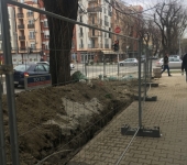photo-3-29-18-15-41-05-1